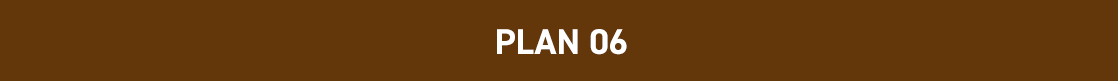 PLAN06