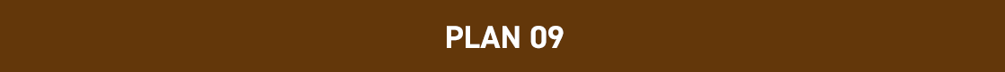 PLAN09