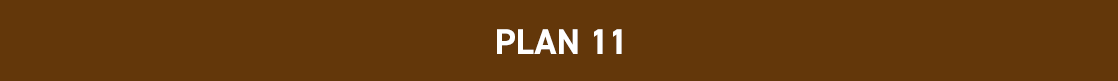 PLAN11
