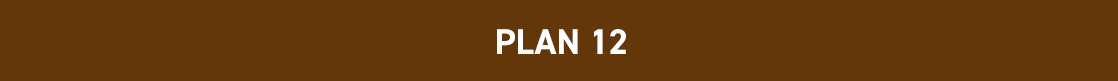 PLAN12