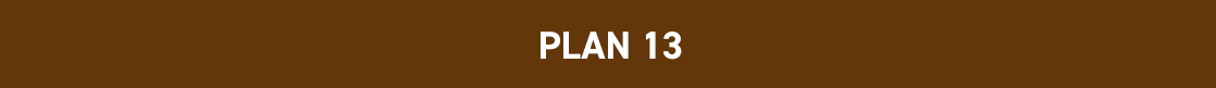 PLAN13