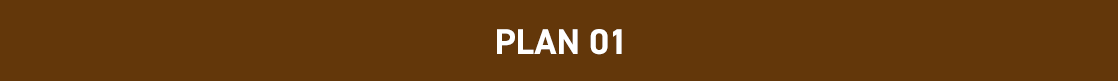 PLAN01