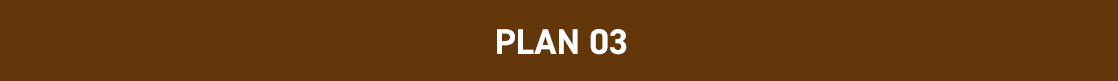 PLAN03