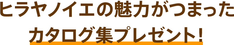 ヒラヤノイエの魅力がつまったカタログ集プレゼント！