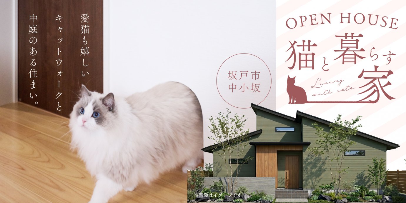 【坂戸市中小坂】開放感と奥行きを演出する約24帖の小屋浦収納付き勾配天井LDKで癒される住まい。愛猫も嬉しいキャットウォークと中庭のある住まい。—川越展示場―