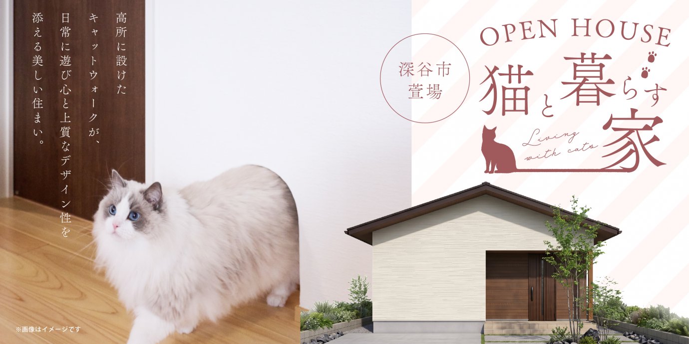 【深谷市萱場】リビングの勾配天井がもたらす圧倒的な開放感と、上品な造作格子が映える小上がり和室。高所に設けたキャットウォークが、日常に遊び心と上質なデザイン性を添える美しい住まい。—熊谷展示場―