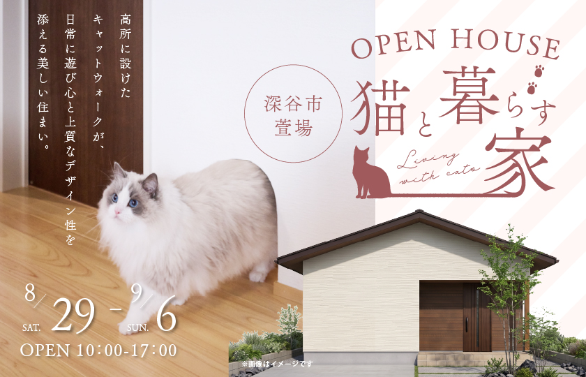 【深谷市萱場】リビングの勾配天井がもたらす圧倒的な開放感と、上品な造作格子が映える小上がり和室。高所に設けたキャットウォークが、日常に遊び心と上質なデザイン性を添える美しい住まい。—熊谷展示場―
