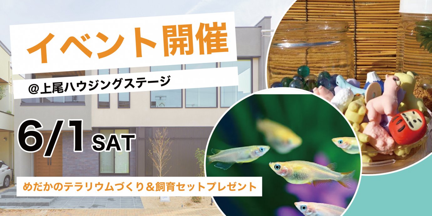 めだかのテラリウムづくり＆飼育セットプレゼント