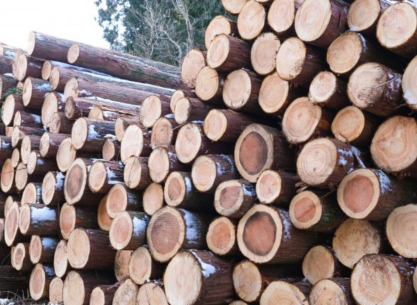 彩ハウスのこだわりの自然素材について