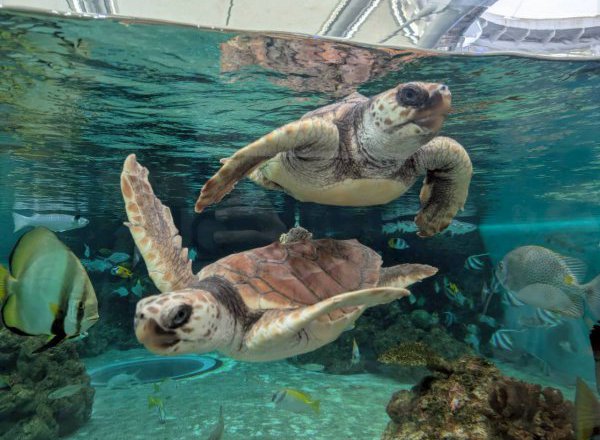 4カ月の息子と初めての家族旅行へ