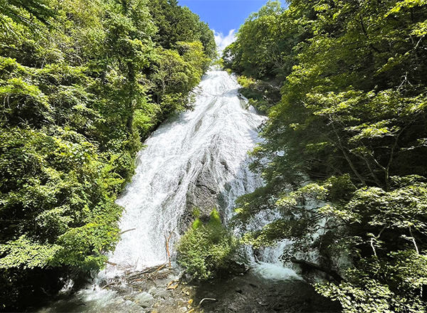 涼を求めて山の上